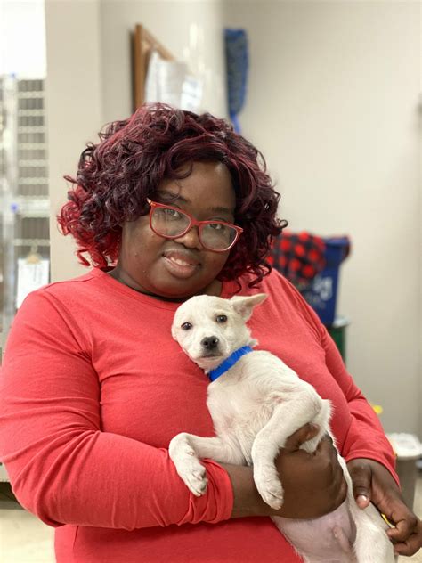Tupelo lee humane society - TUPELO • After a rough two years brought on by increased surrenders and a global pandemic, the Tupelo-Lee County Humane Society has …